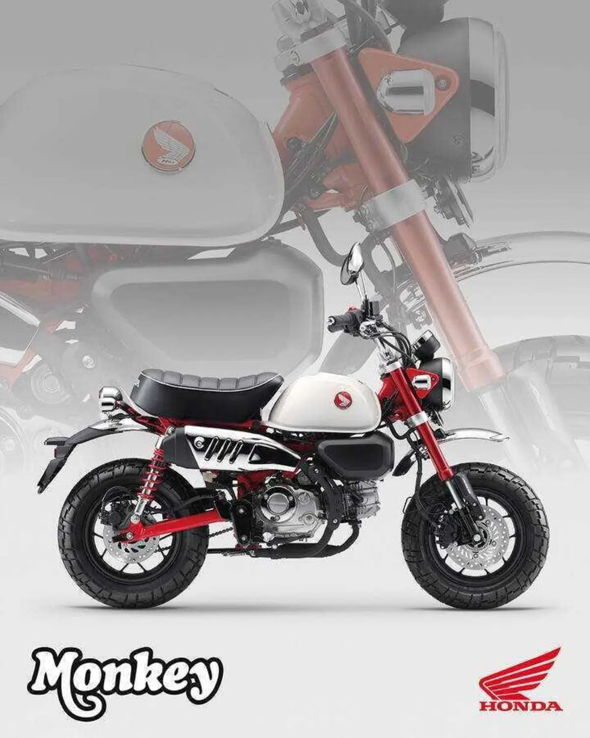 Nuovi colori e Euro 5+ per gli Honda Dax, Monkey e Super Cub C125 (4)