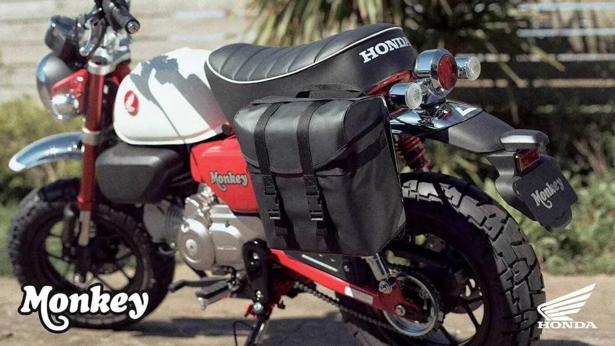Nuovi colori e Euro 5+ per gli Honda Dax, Monkey e Super Cub C125 (6)
