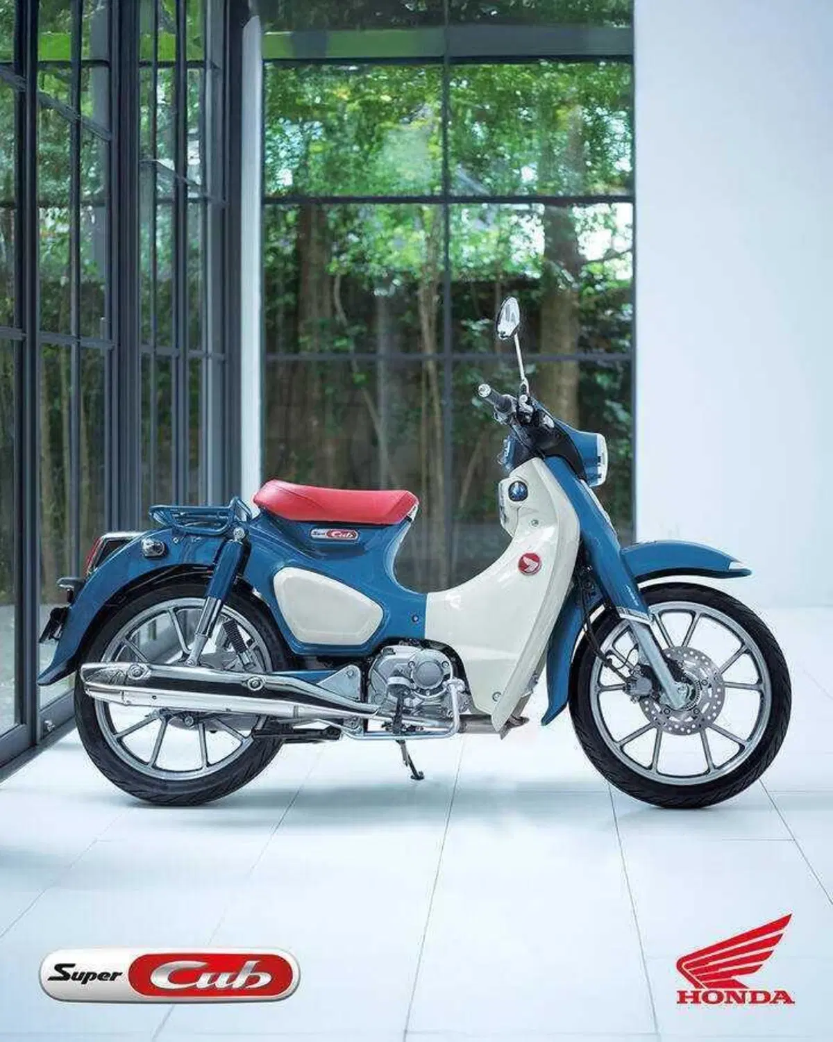 Nuovi colori e Euro 5+ per gli Honda Dax, Monkey e Super Cub C125