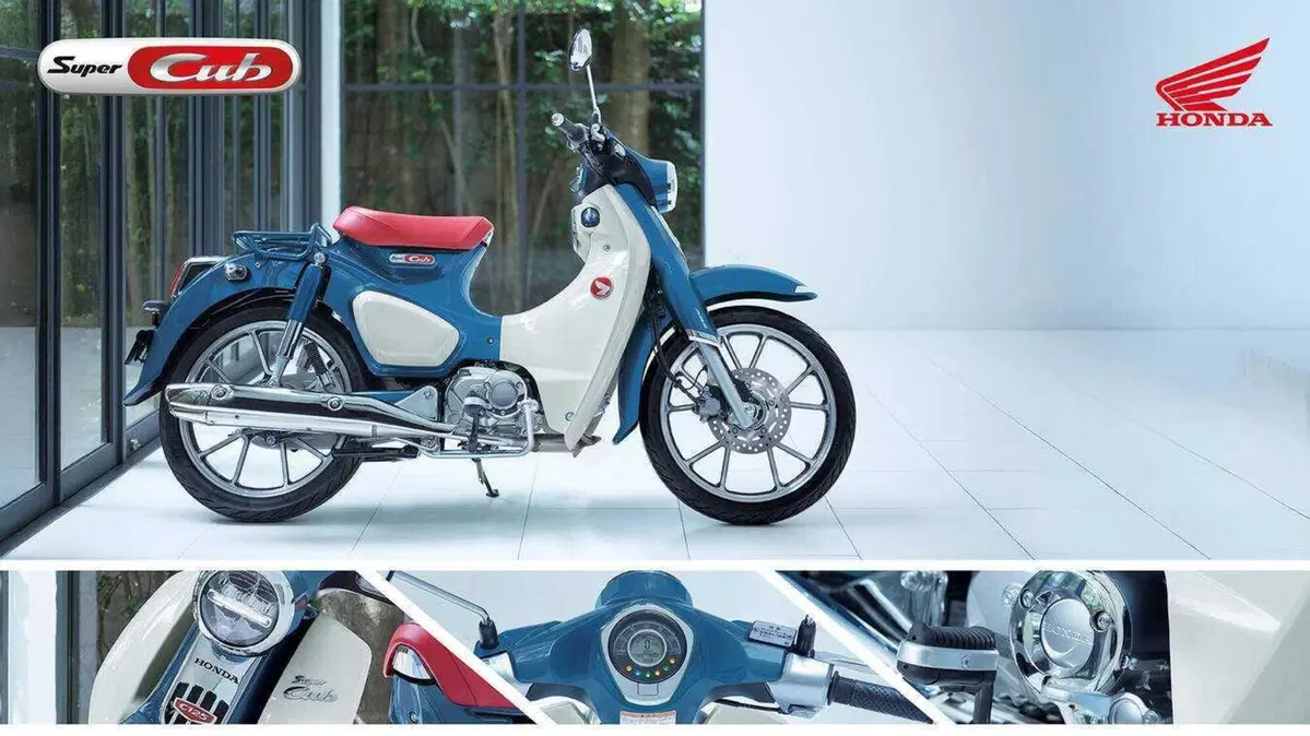 Nuovi colori e Euro 5+ per gli Honda Dax, Monkey e Super Cub C125 (2)