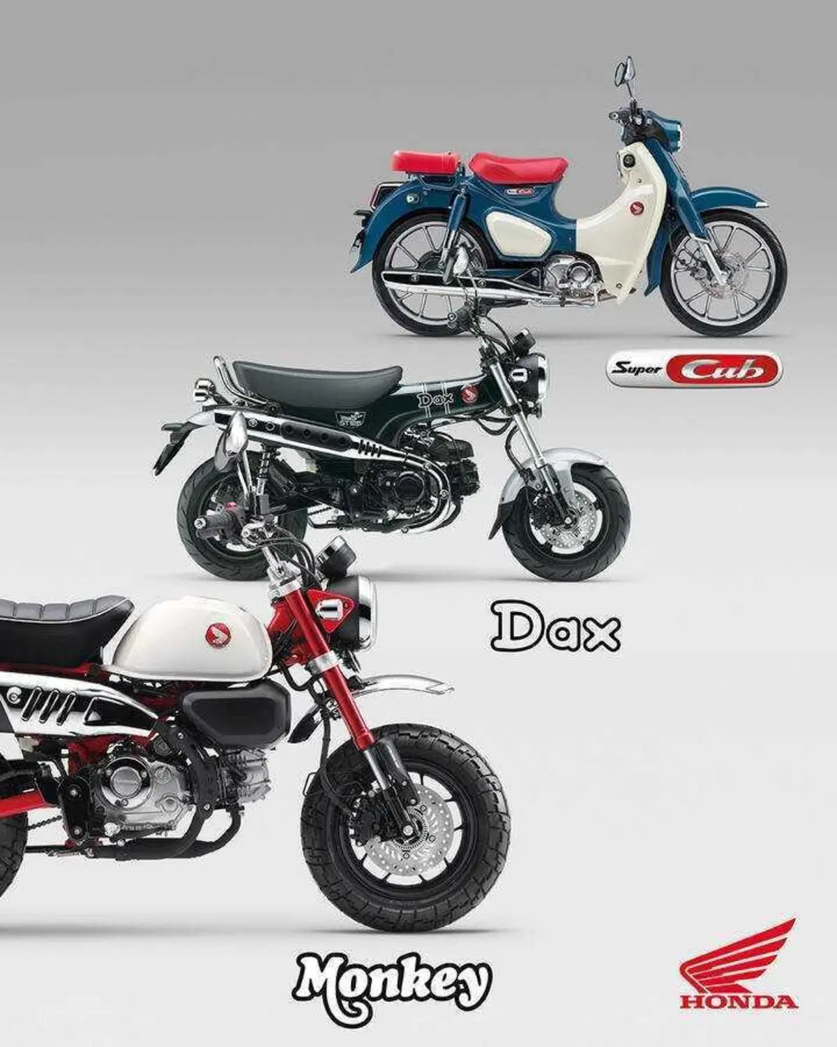 Nuovi colori e Euro 5+ per gli Honda Dax, Monkey e Super Cub C125
