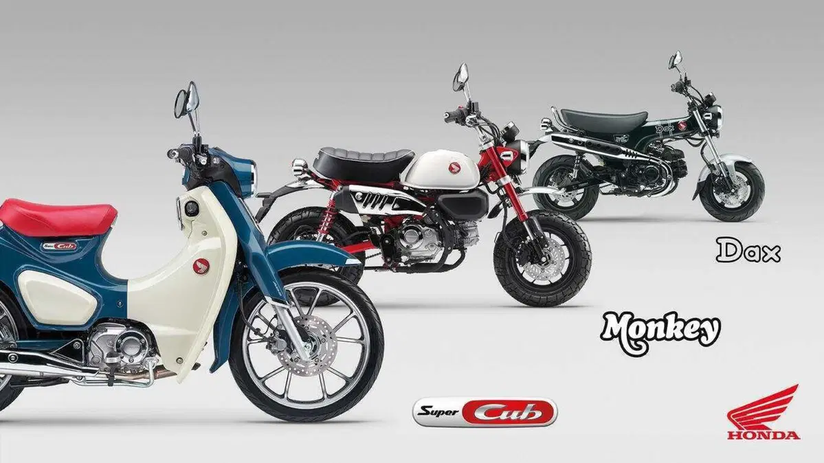 Nuovi colori e Euro 5+ per gli Honda Dax, Monkey e Super Cub C125 (3)