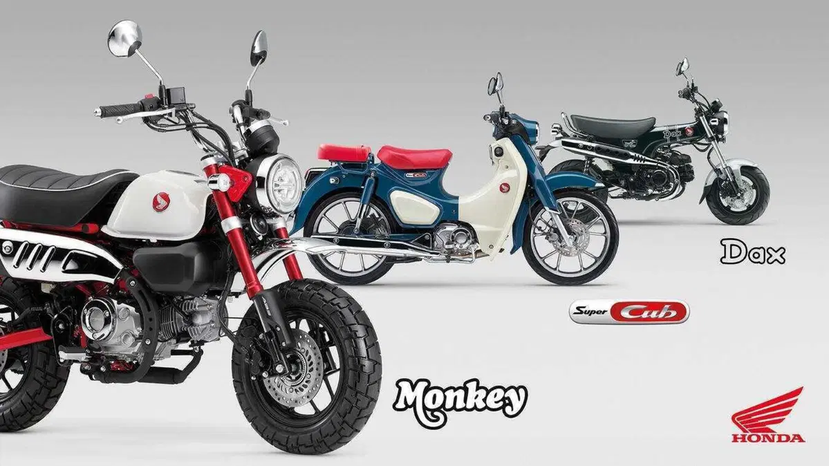 Nuovi colori e Euro 5+ per gli Honda Dax, Monkey e Super Cub C125 (4)