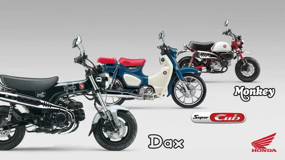 Nuovi colori e Euro 5+ per gli Honda Dax, Monkey e Super Cub C125 (5)