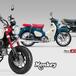 Nuovi colori e Euro 5+ per gli Honda Dax, Monkey e Super Cub C125