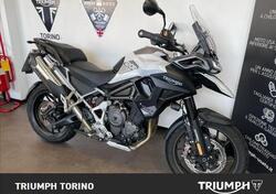 Triumph Tiger 1200 GT Pro (2024 - 25) usata