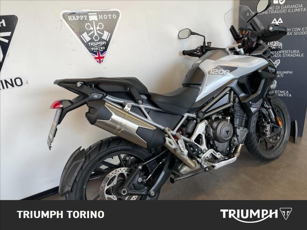 Triumph Tiger 1200 GT Pro (2024 - 25) (3)