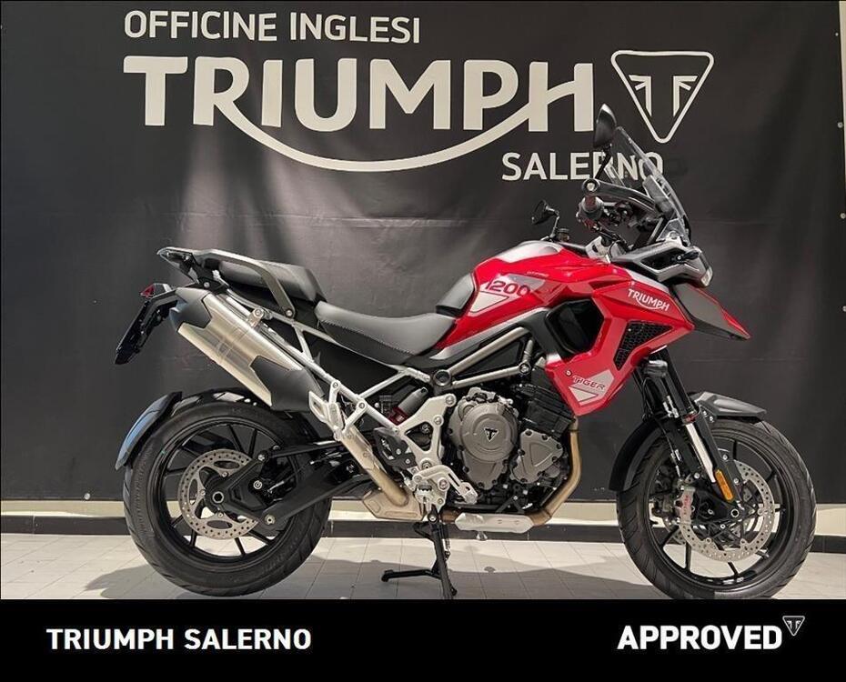 Triumph Tiger 1200 GT Pro (2024 - 25)