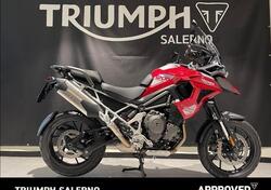 Triumph Tiger 1200 GT Pro (2024 - 25) usata