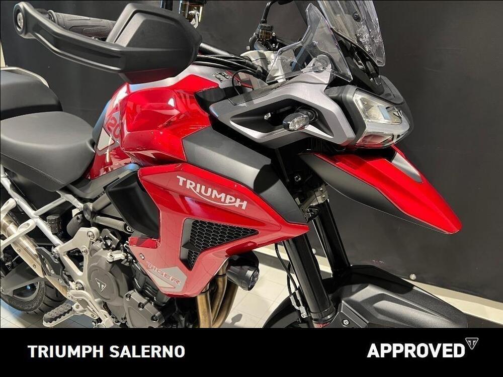 Triumph Tiger 1200 GT Pro (2024 - 25) (3)