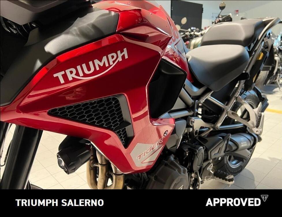 Triumph Tiger 1200 GT Pro (2024 - 25) (5)