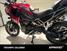 Triumph Tiger 1200 GT Pro (2024 - 25) (7)