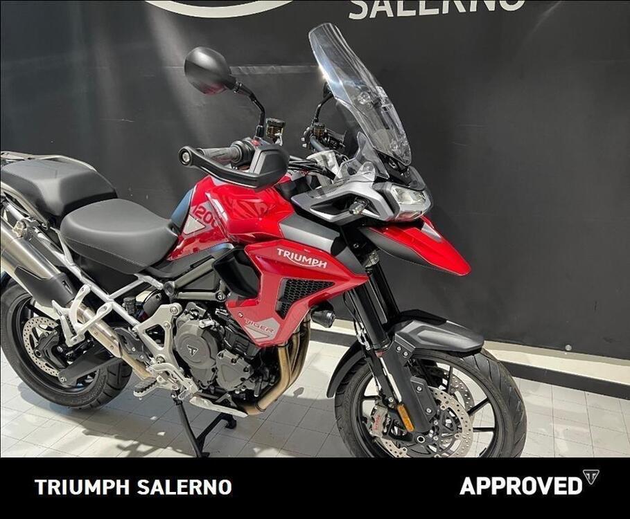 Triumph Tiger 1200 GT Pro (2024 - 25) (2)