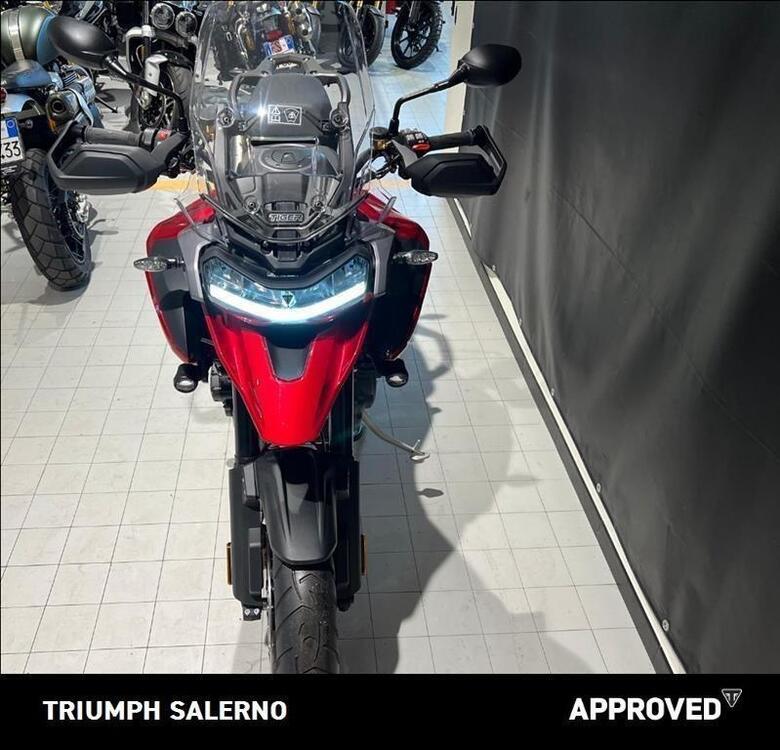 Triumph Tiger 1200 GT Pro (2024 - 25) (4)