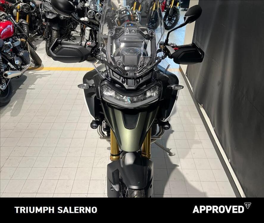 Triumph Tiger 1200 Rally Pro (2024 - 25) (3)