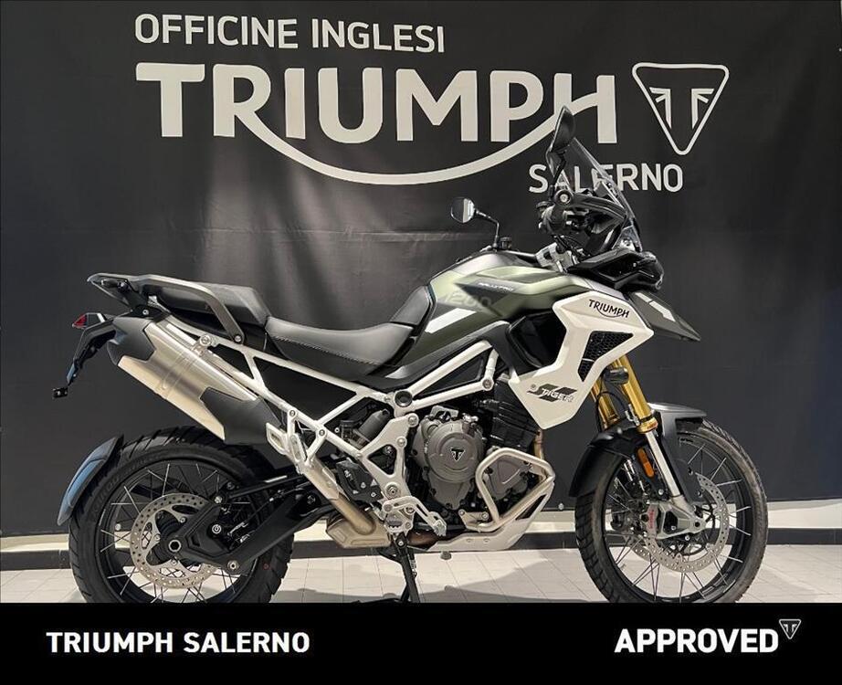 Triumph Tiger 1200 Rally Pro (2024 - 25)