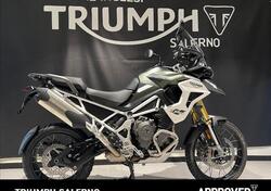 Triumph Tiger 1200 Rally Pro (2024 - 25) usata