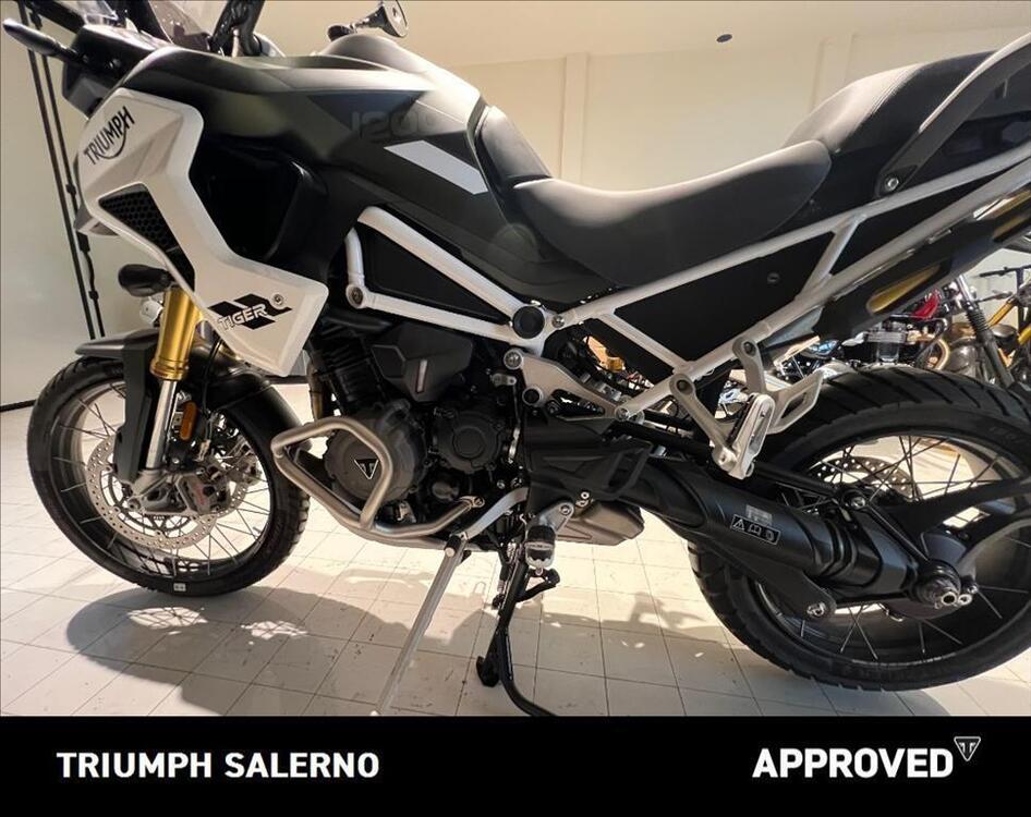 Triumph Tiger 1200 Rally Pro (2024 - 25) (5)