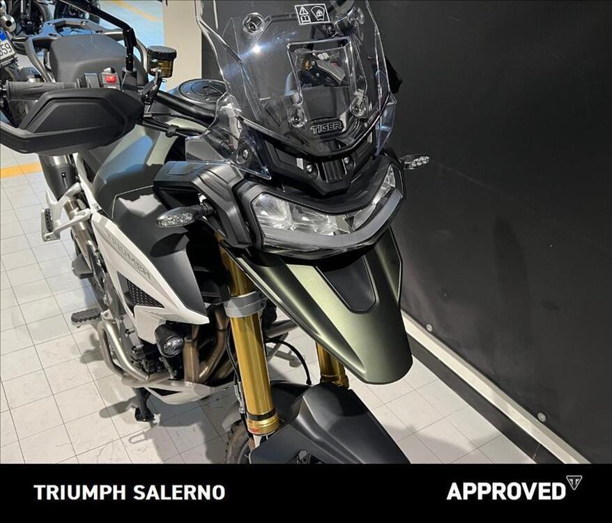 Triumph Tiger 1200 Rally Pro (2024 - 25) (2)