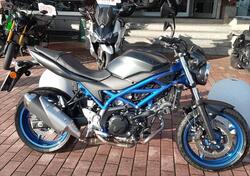 Suzuki SV650 (2021 - 25) usata