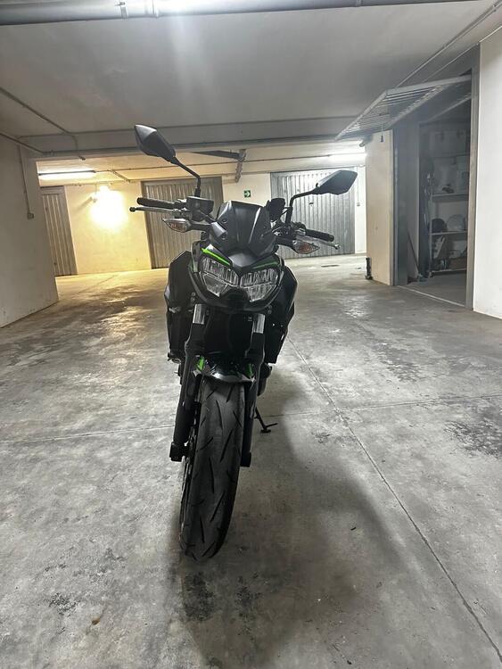 Kawasaki Z 650 (2021 - 24)