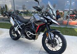 Triumph Tiger 900 GT Pro (2024 - 25) usata