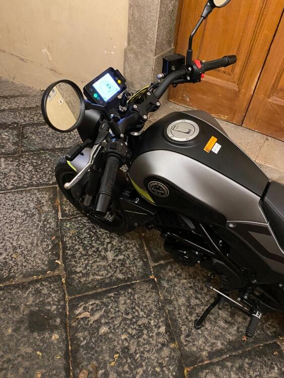 Benelli Leoncino 250 (2019 - 20) (5)