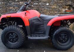 Arctic Cat 400 4x4 usata