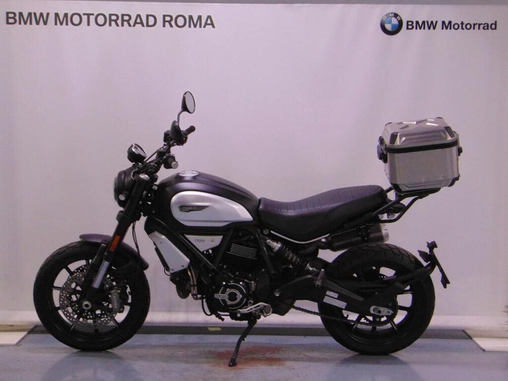 Ducati Scrambler 1100 Pro (2020 - 22)