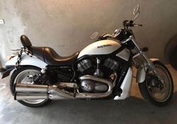 Harley-Davidson 1250 Night Rod Special (2008 - 17) - VRSCDX usata