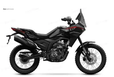 Morbidelli T125X (2025 - 26) nuova