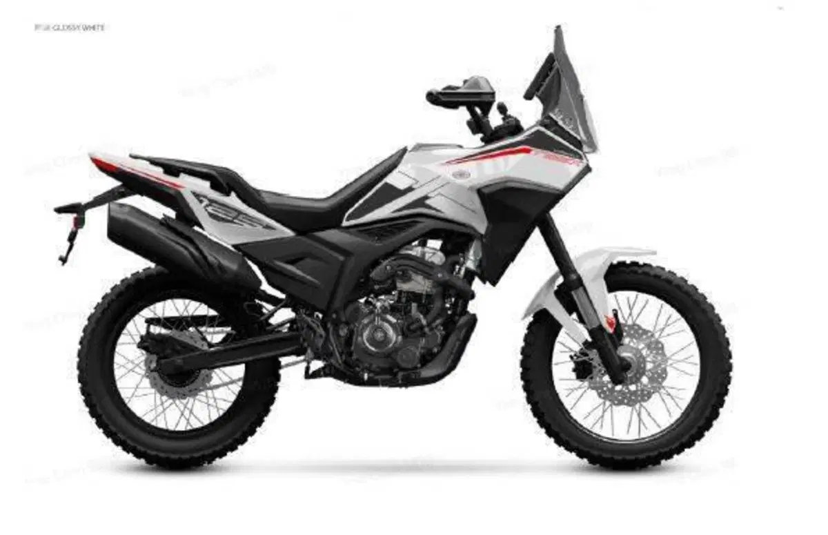 Morbidelli T125X (2025 - 26) (2)