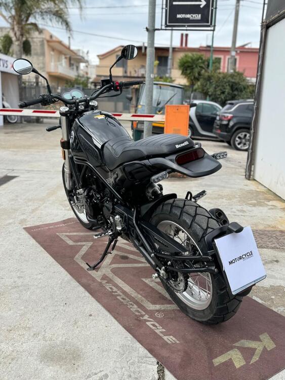 Benelli Leoncino 500 Trail (2021 - 25) (3)