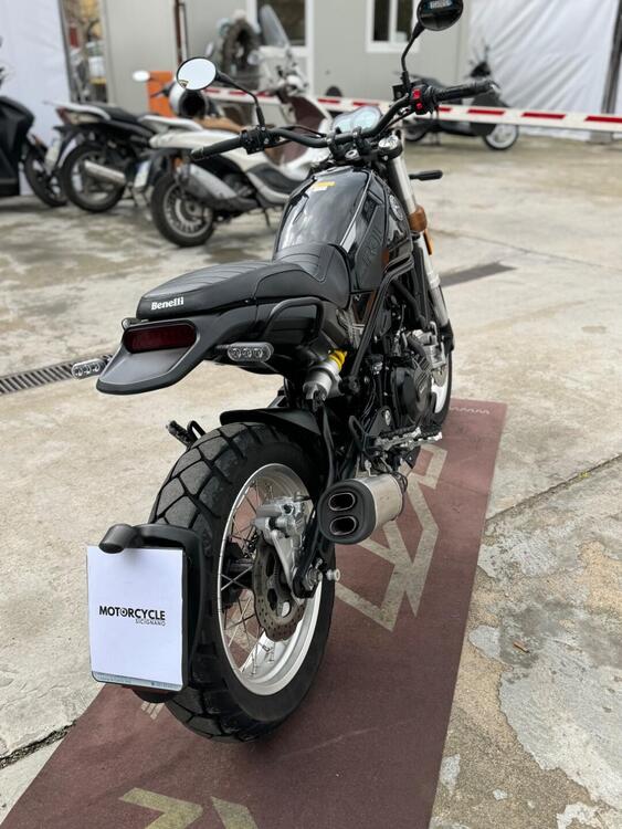 Benelli Leoncino 500 Trail (2021 - 25) (4)