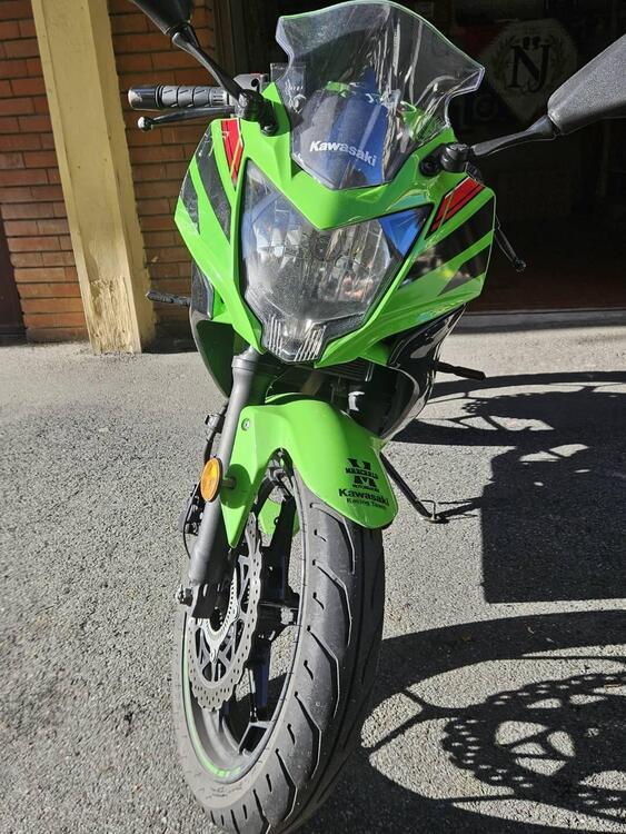 Kawasaki Ninja 125 (2021 - 25) (5)