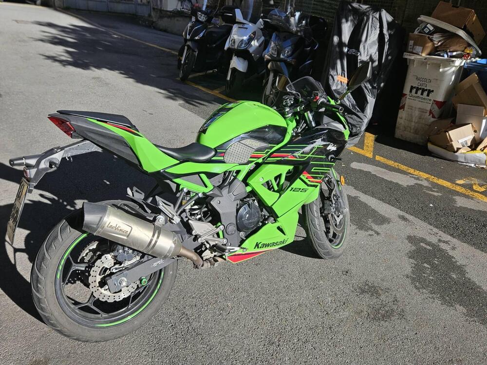 Kawasaki Ninja 125 (2021 - 25)