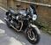 Triumph Speed Twin 1200 (2019 - 20) (6)