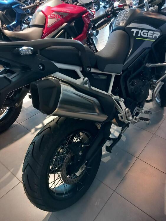 Triumph Tiger 900 Rally Aragón Edition (2023 - 24) (4)