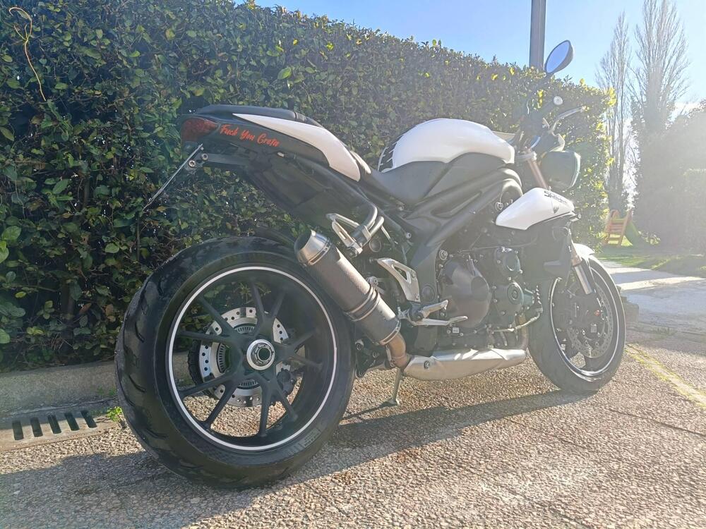 Triumph Speed Triple 1050 (2011 - 13) (2)