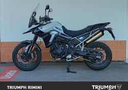 Triumph Tiger 900 GT Pro (2024 - 25) usata