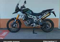 Triumph Tiger 900 Rally Pro (2024 - 25) usata