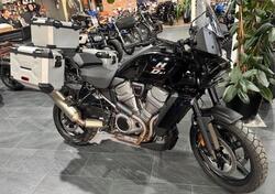 Harley-Davidson Pan America 1250 (2020 - 25) usata