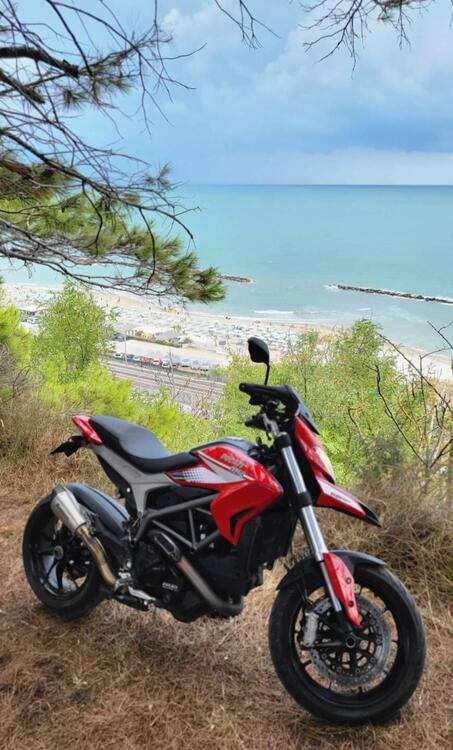 Ducati Hypermotard 821 (2013 - 15) (2)