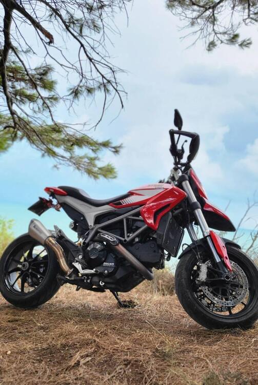 Ducati Hypermotard 821 (2013 - 15) (4)