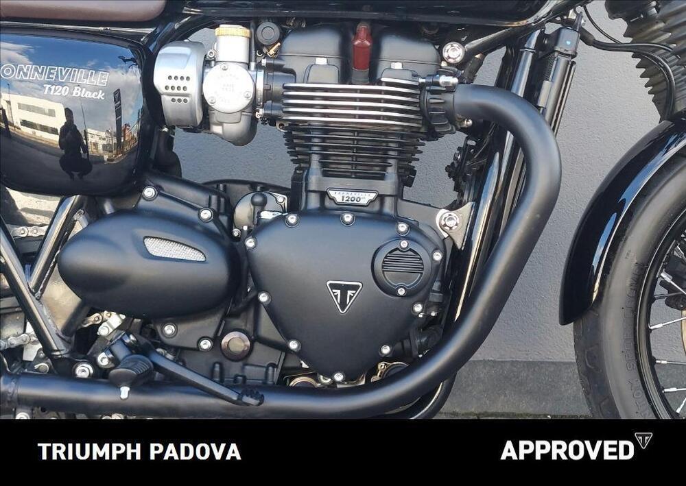 Triumph Bonneville T120 (2016 - 20) (3)