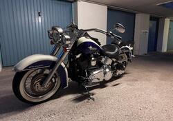 Harley-Davidson 1585 Softail Deluxe (2011) - FLSTN usata