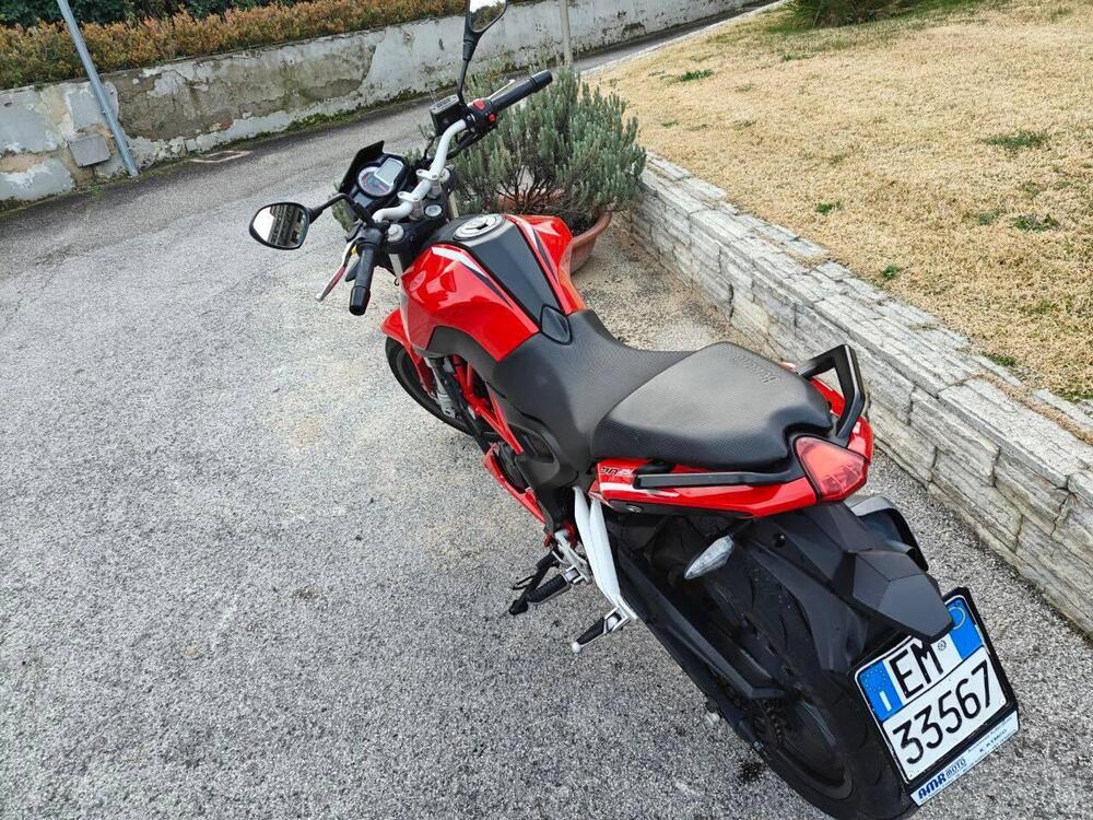 Benelli BN 251 (2017 - 20) (4)