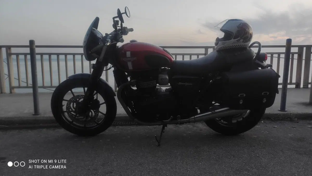 Triumph Street Twin 900 (2017 - 18) (12)