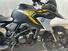 Bmw G 310 GS Edition 40 Years GS (2021) (11)