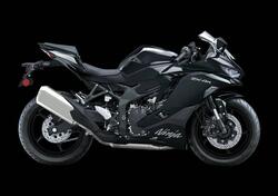 Kawasaki Ninja ZX-4R (2024 - 25) nuova